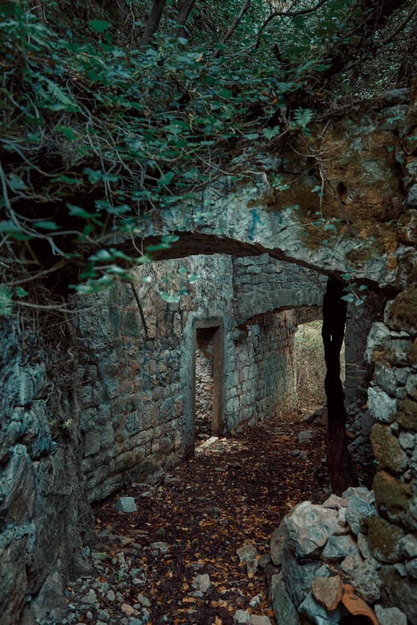 Chateau Du Soleil Villas Tivat Buitenkant foto