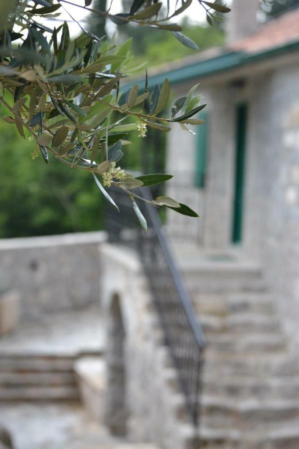 Chateau Du Soleil Villas Tivat Buitenkant foto